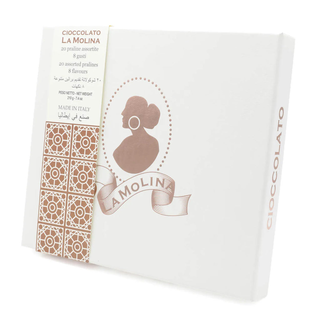TWENTY ASSORTED PRALINES PORTRAIT 210 G