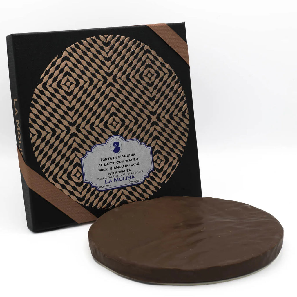 MOLINA MILK GIANDUJA AND WAFER CAKE 480 G BOX